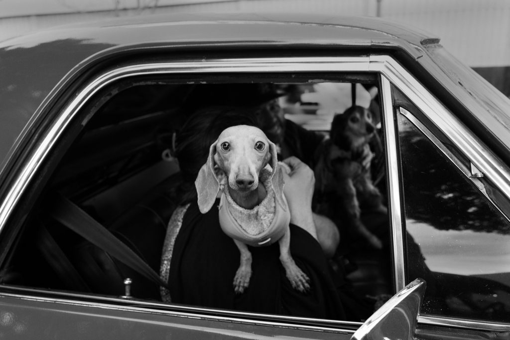 Copilot by Juan Fernando Mora Munoz (Group 83)